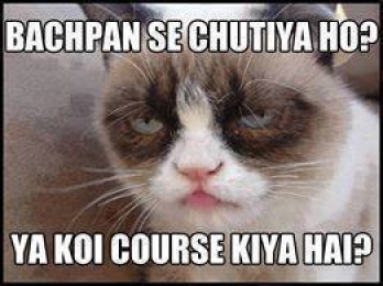 Bachpan Se Chutiya Ho Ya Koi Course Kiya Hai - Grumpy Cat