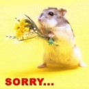 Sorry - Rat with flower