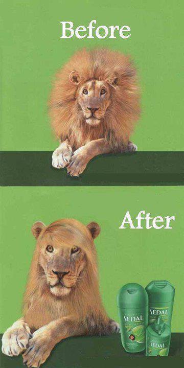 Before and after shampoo - Girls beauty
