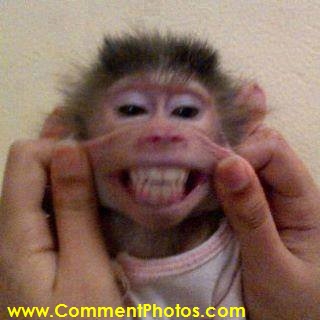 Making Monkey Smille