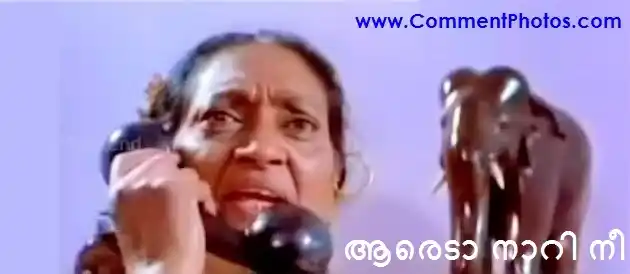 ആരെടാ നാറി നീ - ഫിലോമിന - Aareda Naari Nee - Philomina