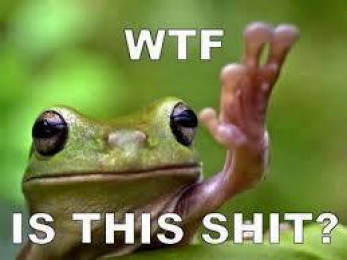 What The Fuck is This Shit - Frog Wondering