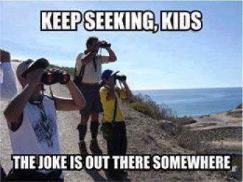 Keep Seeing Kids - The Joke is Out There Somewhere