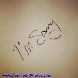 Im Sorry