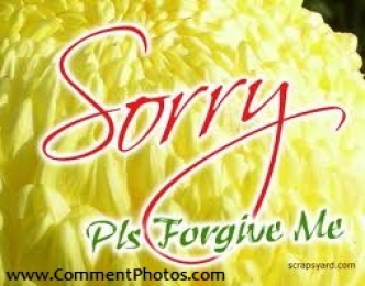 Sorry - Please forgive me