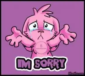 I am Sorry
