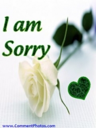I am Sorry - Rose flower
