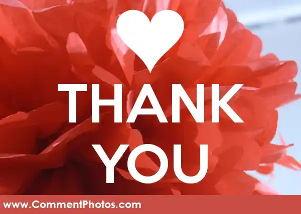 Thank You with Love