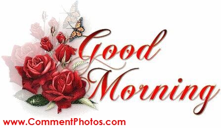 Good Morning - Red Roses
