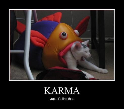 Karma - Yup Its Like That - Cat Crying