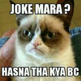 Joke Mara Hasna Tha Kya Bc - Grumpy Cat