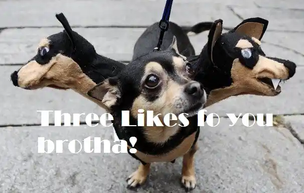 Three Likes Fo You Brotha