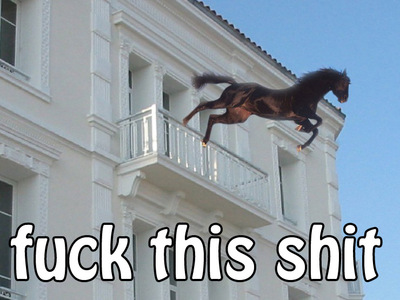 Fuck this Shit - Horse Jumps out off the window