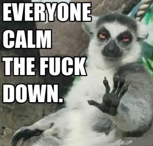 Everyone Calm the Fuck Down - Lemur