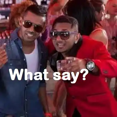 What Say - Yo Yo Honey Singh