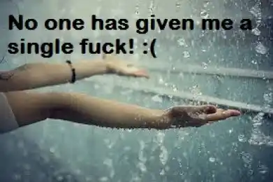 No One Has Given Me A Single Fuck
