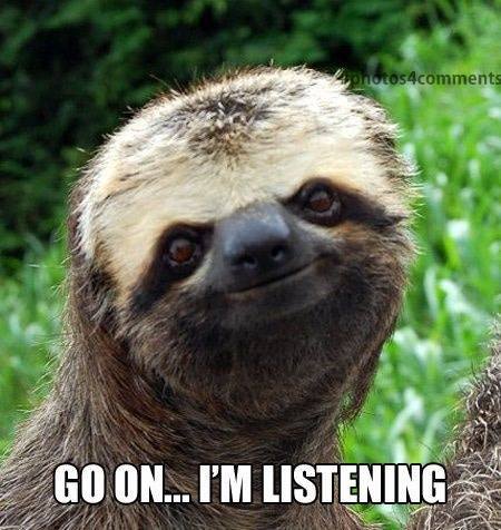 Go On I am Listening - Funny Sloth