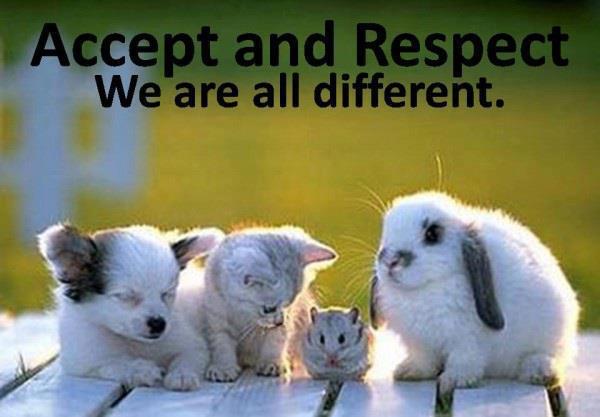 Accept and Respect. We all are different - Cute Cat Dog Puppy Rabbit Squirrel