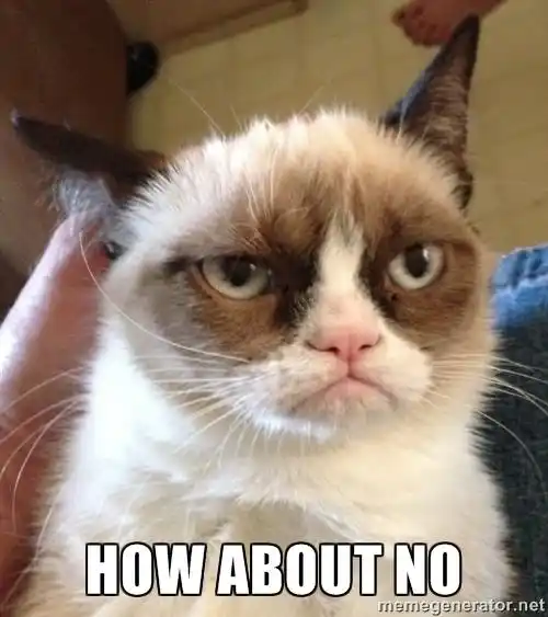 How about NO - Angry Grumpy Cat