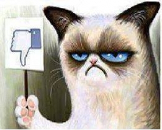Dislike - Angry Grumpy Cat Cartoon