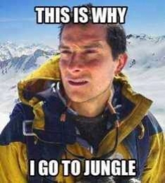 This Is Why I Goto Jungle..