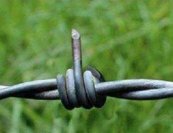 Fuck You - Barbed Wire Middle Finger