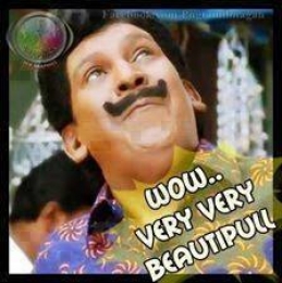 Wow Very Very Beautifull - Vadivelu Funny Expression