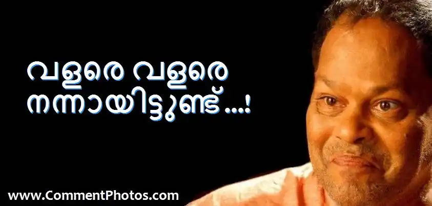 വളരെ വളരെ നന്നായിട്ടുണ്ട് - ഇന്നസെന്റ് - Valare Valare Nannaayittund - Innocent