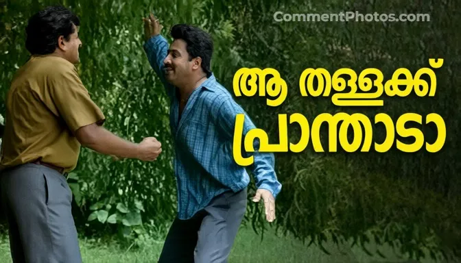 ആ തള്ളക്ക് പ്രാന്താടാ - മുകേഷ് സിദ്ധീക്ക് - ഇൻ ഹരിഹര് നഗർ - Aa thallakku pranthada - mukesh sidheek - in harihar nagar