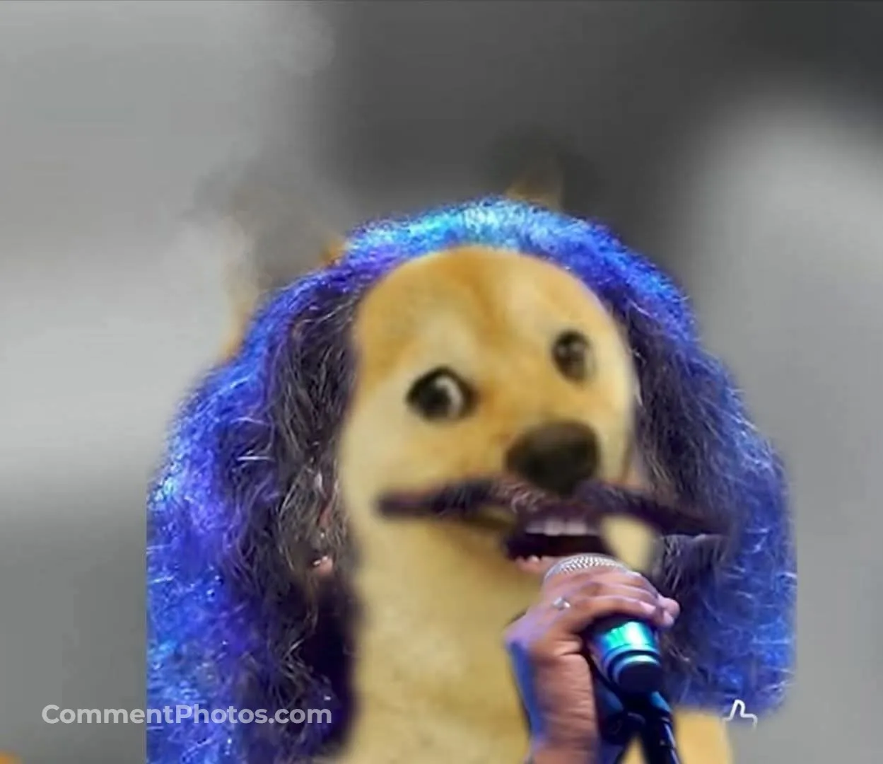 Dogs drinking coffee meme - Dogs funny looks - wondering - doge meme