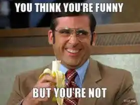 I Think you are funny But You Are Not