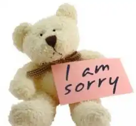 I am Sorry - Teddy Beer