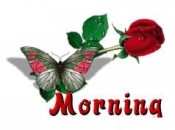 Good Morning - Butterfly and Red Roses