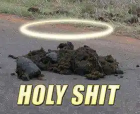 Holy Shit - Circle above shit