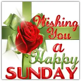 Wishing you  a happy sunday