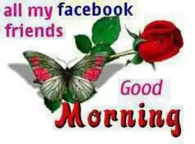 Good night to all my facebook friends