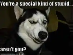 You are a special kind of stupid. Are not you