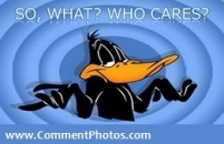 So What Who Cares - Black Duck