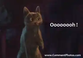 Ooooooh - Cat in Puss In Boots