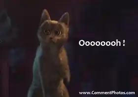 Ooooooh - Puss In Boots Cat
