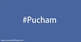 Pucham HashTags