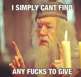 I Simply Cant Find Any fucks to Give - Albus Dumbledore - Harry Potter