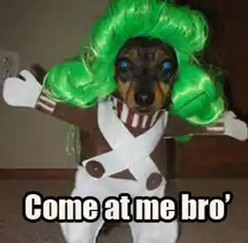 Come At Me Bro - Dog in Costume