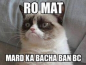 To Mat Mard Ka Bachcha Ban BC - Grumpy Cat