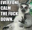 Everyone Calm the Fuck Down - Lemur