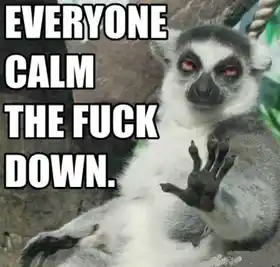 Everyone Calm the Fuck Down - Lemur