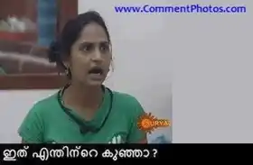 ഇത് എന്തിന്‍റെ കുഞ്ഞാ - മലയാളി ഹൗസ് - Ithu Enthinte Kunja - Malayali House