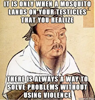 It is only when a mosquito lands on your testicles that you realize there is always a way to solve your problems without using violence