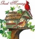 Good Morning Coockoo Bird On House