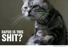 Dafuq Is This Shit - Angry Cat
